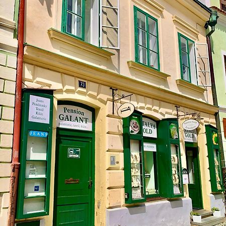 Apartman Galant Daire Český Krumlov Dış mekan fotoğraf