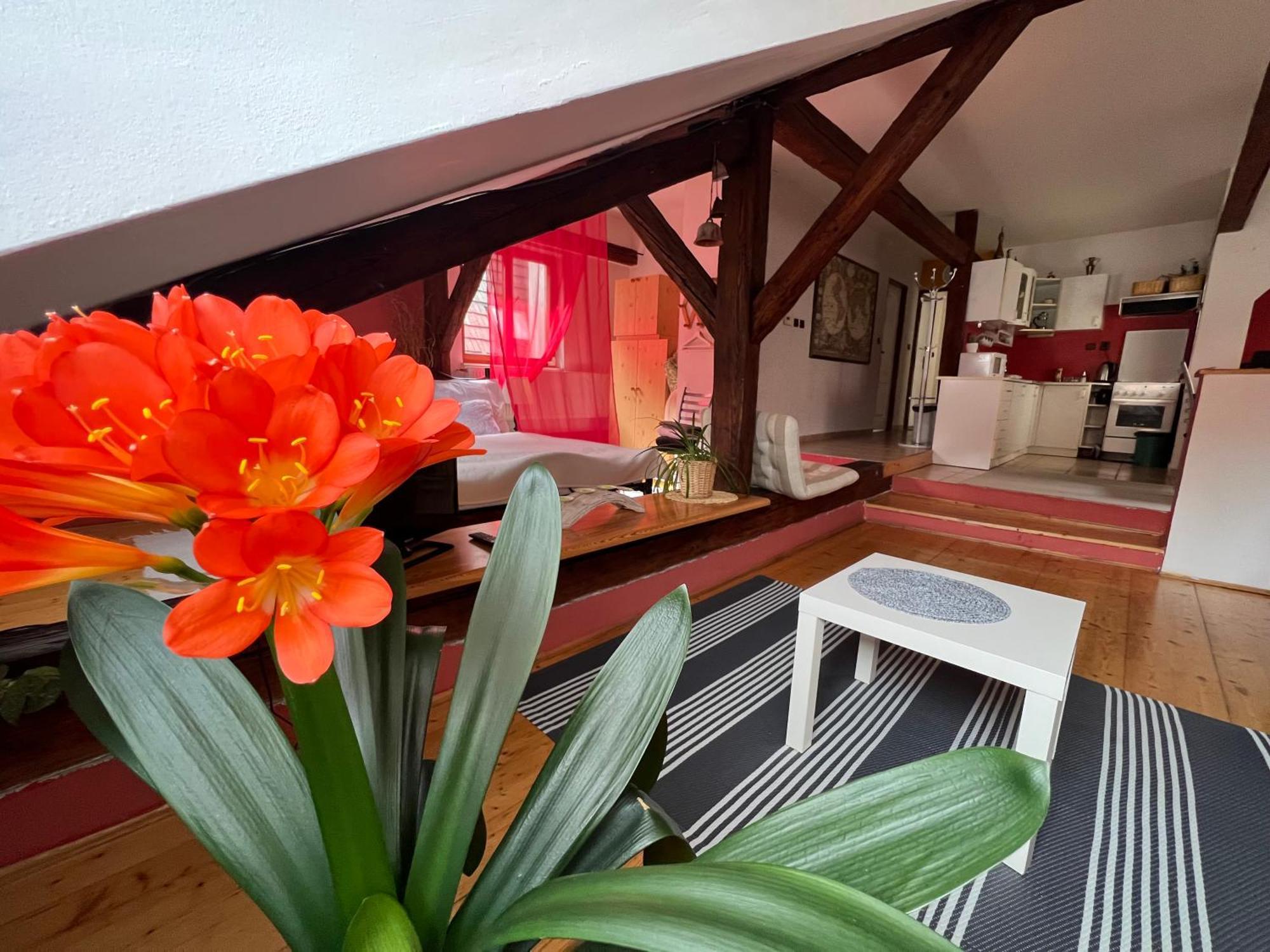 Apartman Galant Daire Český Krumlov Dış mekan fotoğraf